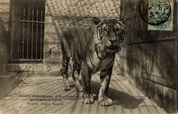 Content Marketing Solutions for Insurance Services Analytics Companies