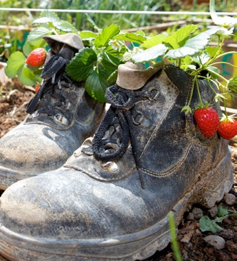 Festival « Culture en Herbe »