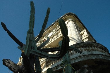 Exposition Villa Caméline : « Oreste, il faut qu’il reste »
