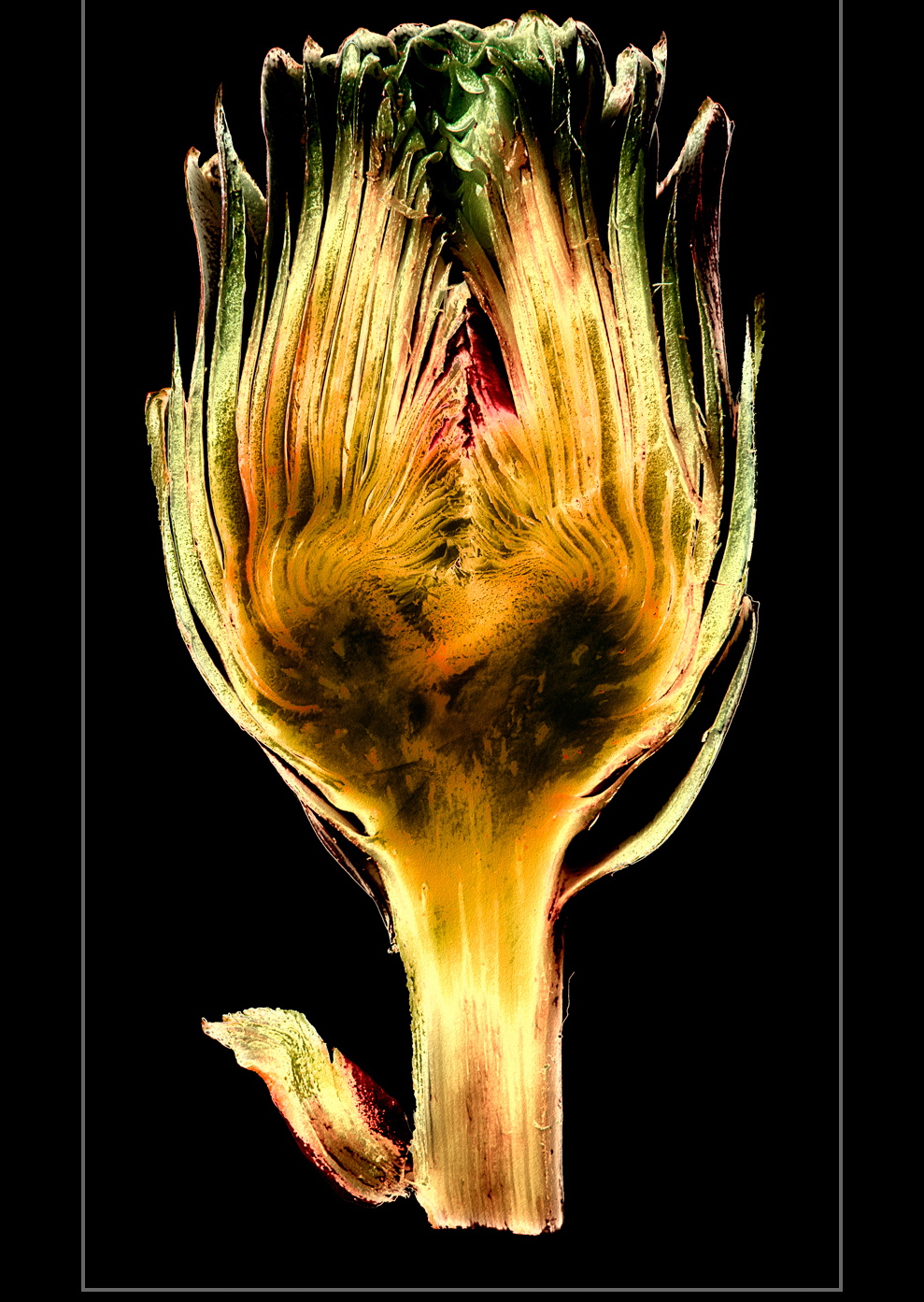 Les primeurs s’exposent à l’Altro Cose Cosi