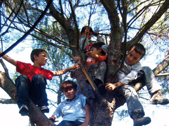 CEDAC : École pleine nature
