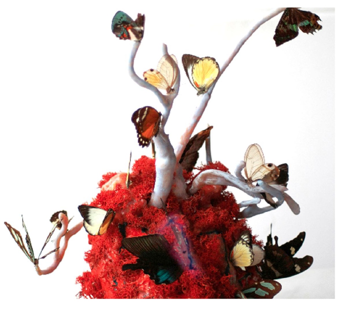 Expositio à la Villa Caméline : Catch The Cloud