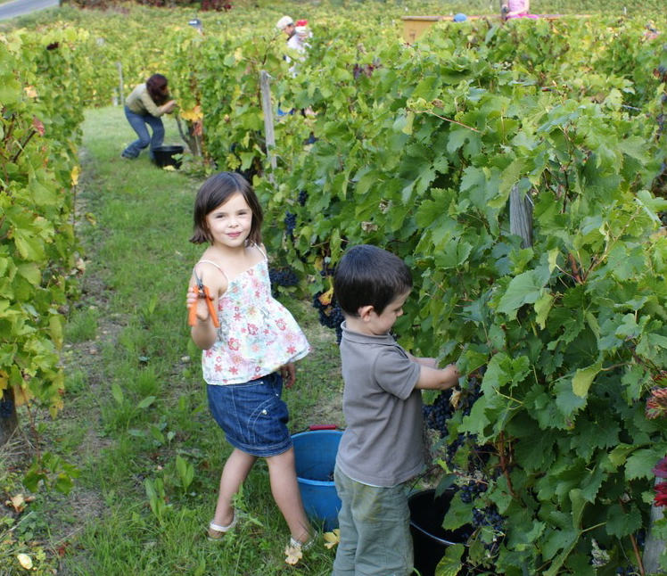 Le Conservatoire accueille L’orchestre philarmonique de Nice