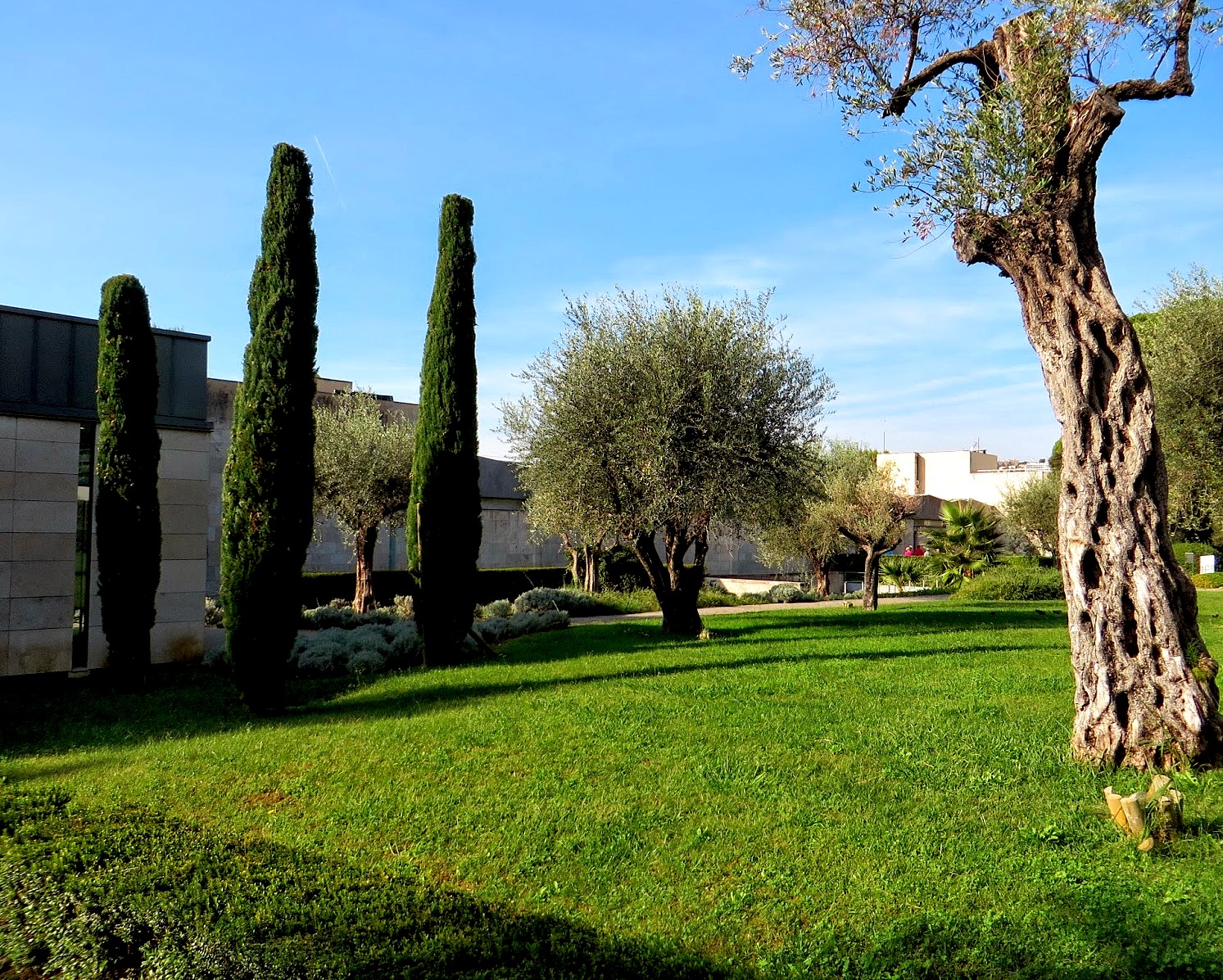 Musée Chagall : Voir l’oreille ?