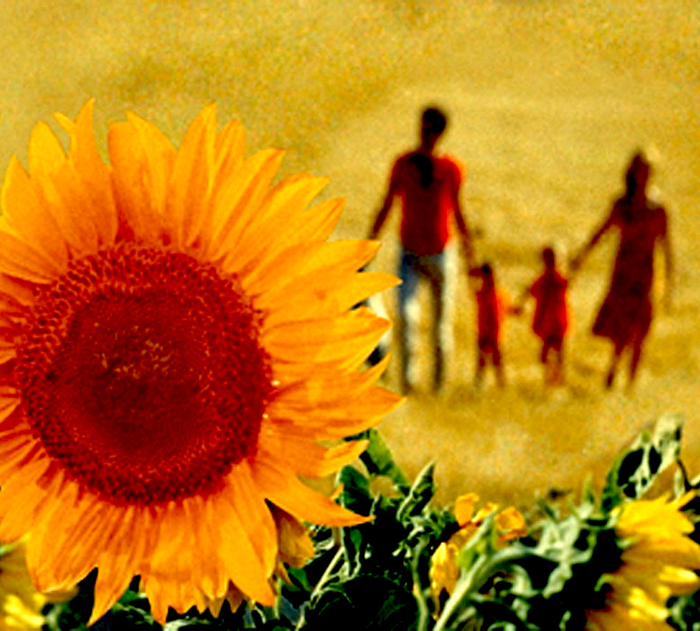 CINÉMATISSE & Agnès Varda