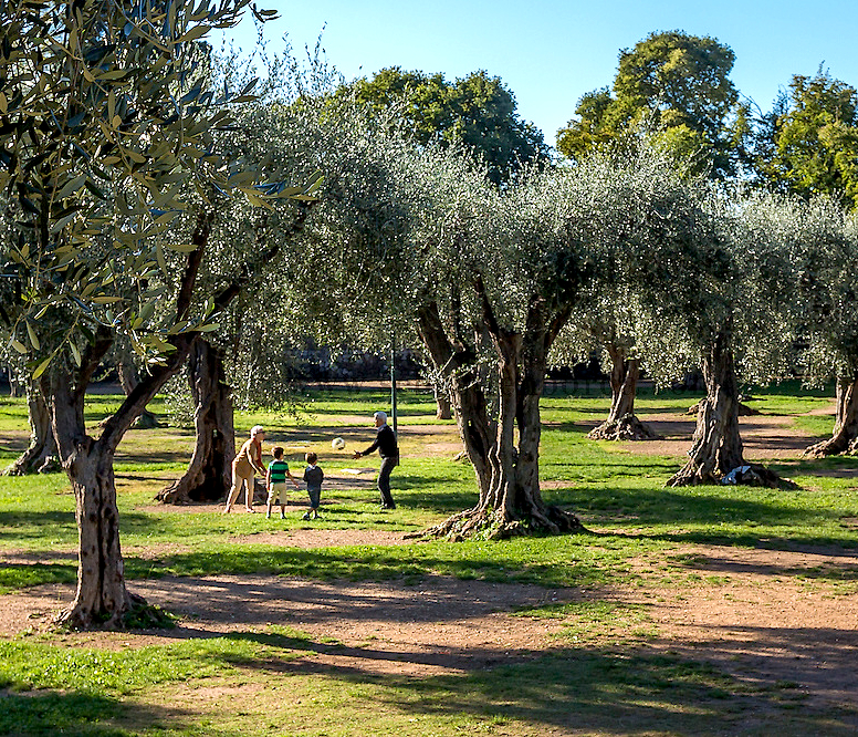 Cimiez : Des espaces verts ouverts à tous !