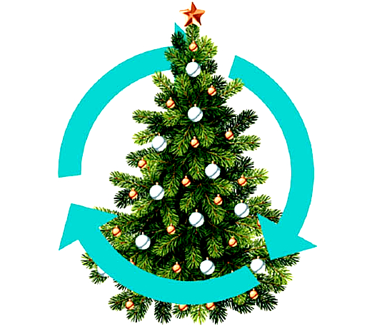 Une 2ème vie pour vos sapins !