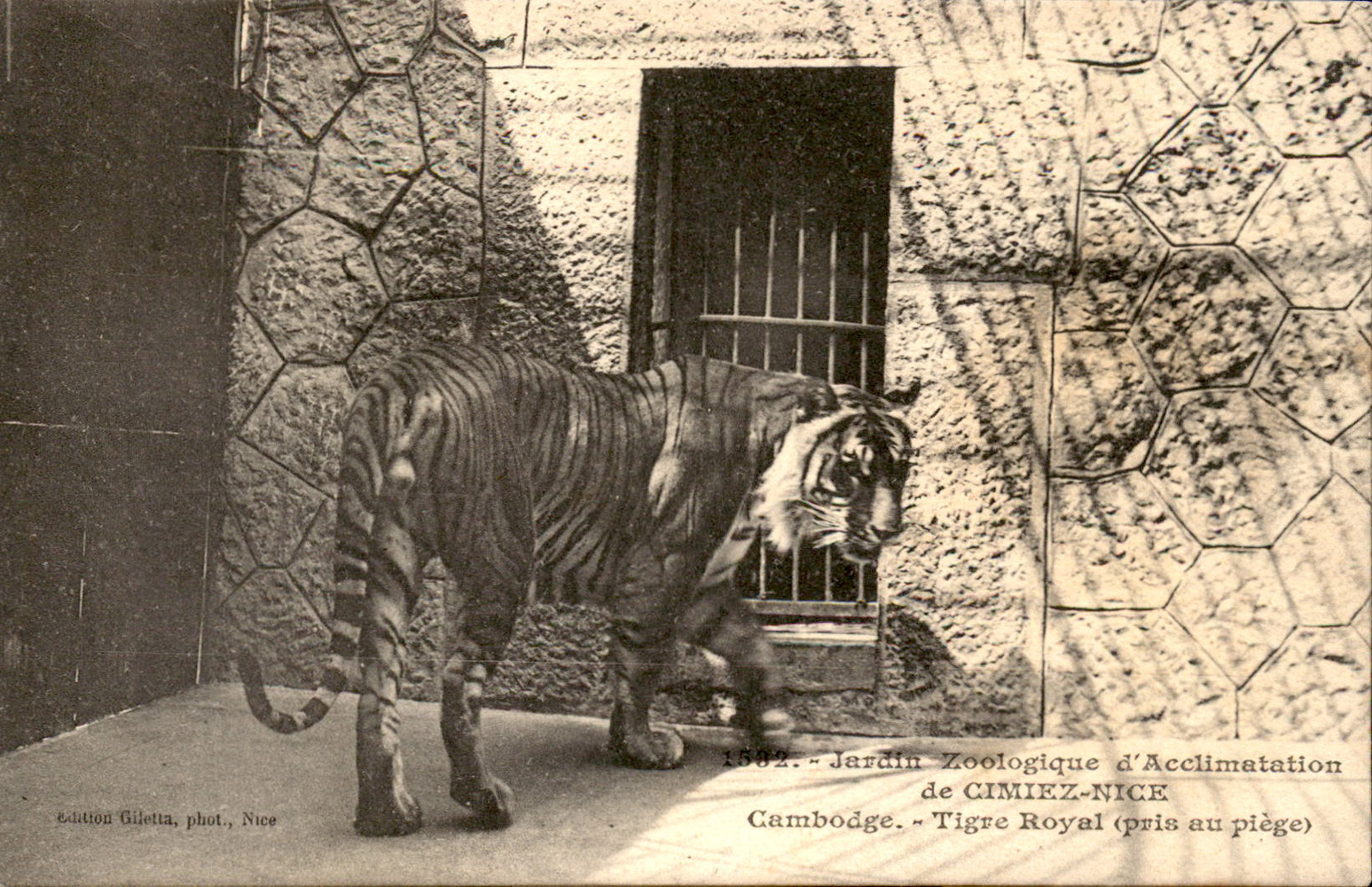 L’affaire du zoo de Cimiez