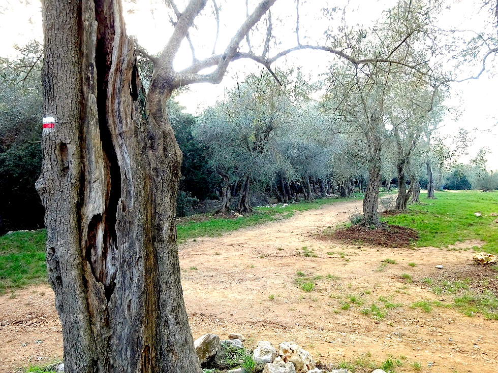 Sortie NATURE & DÉCOUVERTE