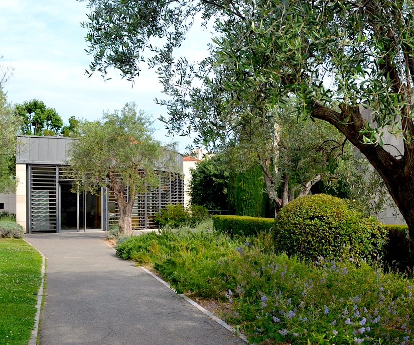 Les livres illustrés de Marc Chagall