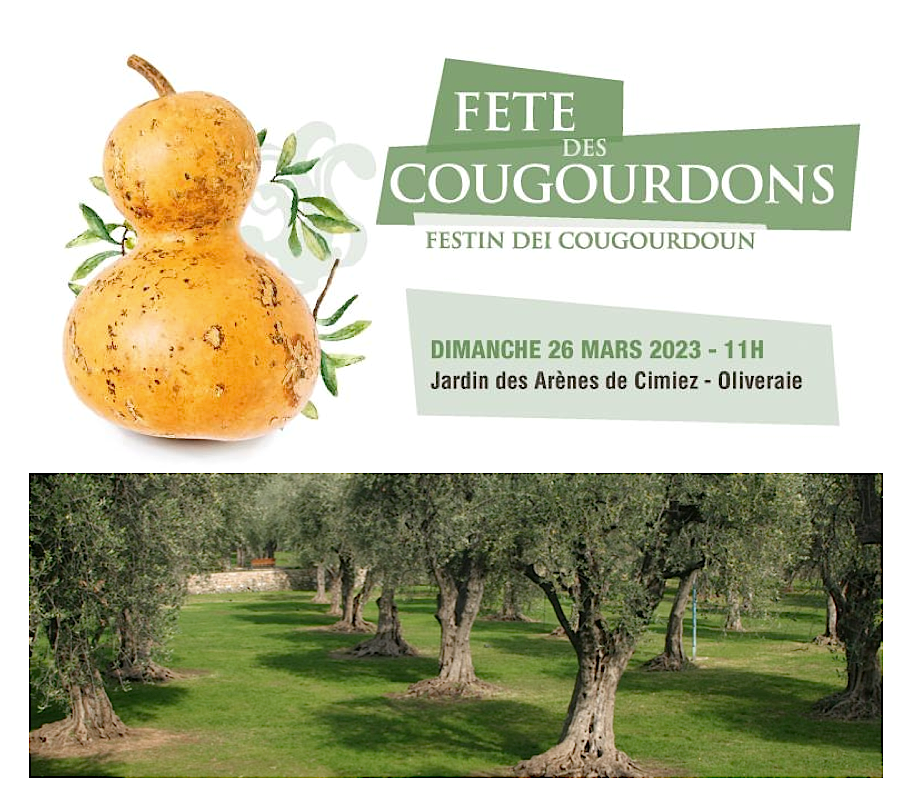 Cimiez fête le cougourdon !